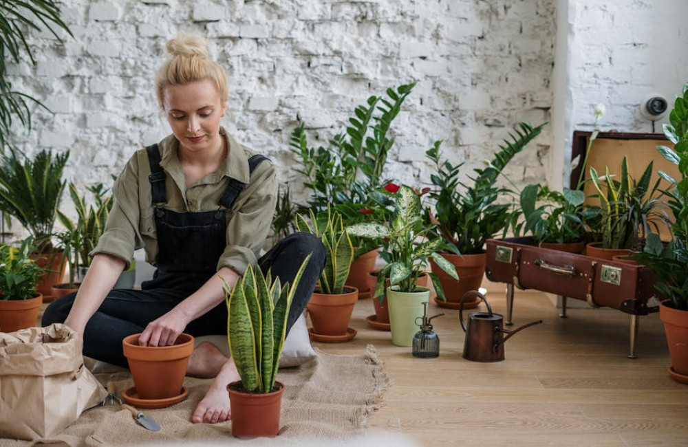 Tuinieren? Dit zijn educatieve programma's voor de groene vingers!