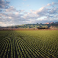 Het belang van e-learning in de agrosector